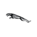 Jaguar Jaguar